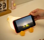 چراغ خواب اردک خسته - Image 16