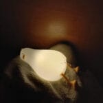 چراغ خواب اردک خسته - Image 10