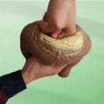 گوریل شنی (مرتضی ) - Image 2