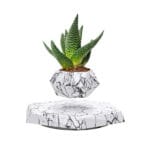 گلدان معلق LANGTU - Image 14