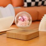 گوی معلق - Image 2