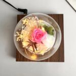 گوی معلق - Image 4