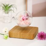 گوی معلق - Image 5