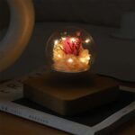 گوی معلق - Image 8