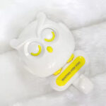 جا کلیدی جغد - Image 4