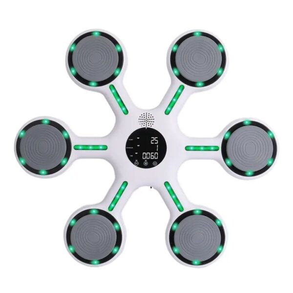 بوکس حرفه ای موزیکال 60 سانتی