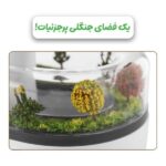 بخور جنگل امازون - Image 6